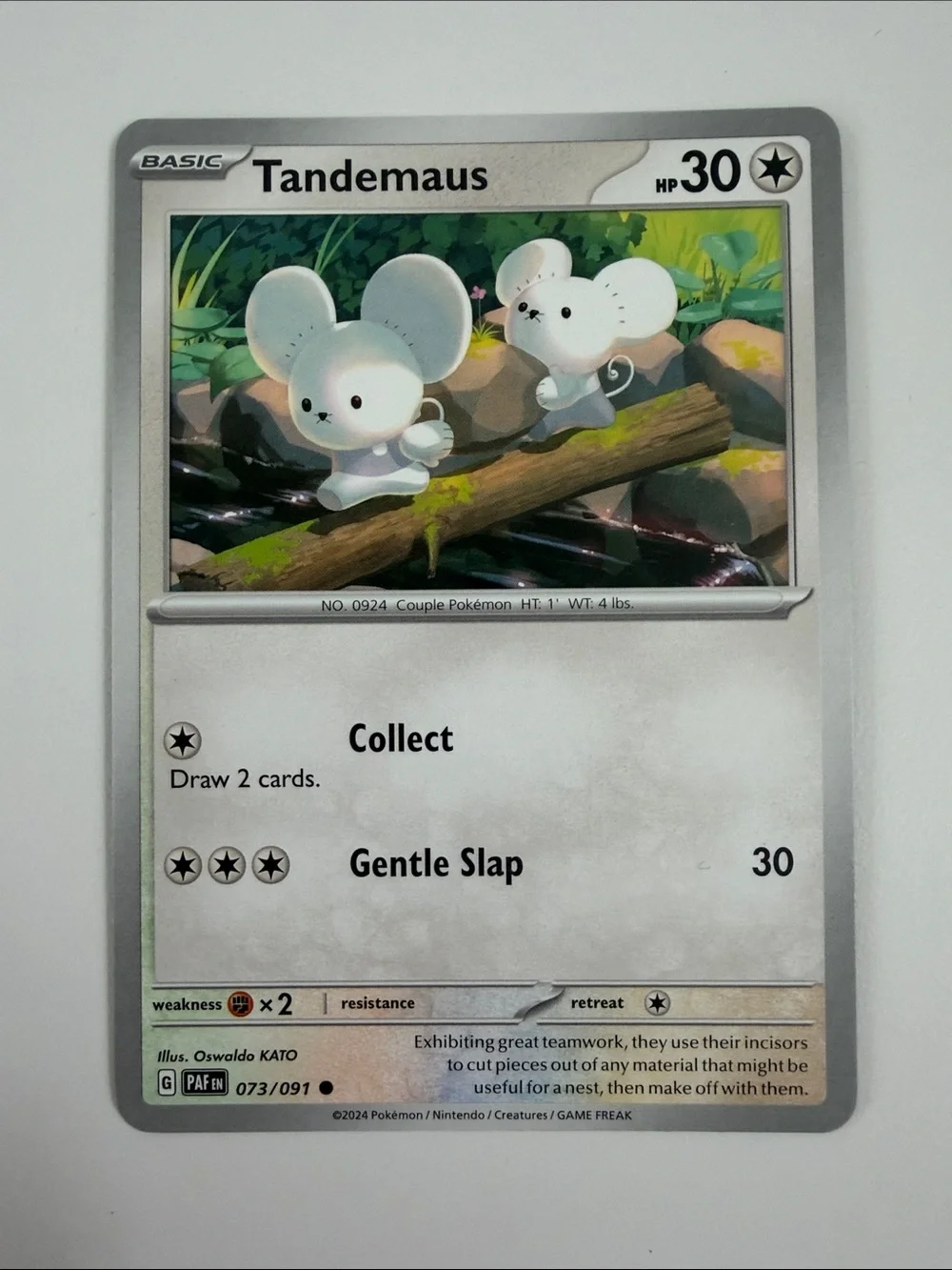💖 Cute Pokémon Card Lot | Fidough Dachsbun Cutiefly Shinx Slowpoke ✨5/$25✨